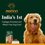 Adult Dry Dog Food, Chicken & Vegetables, Collagen Enriched for Strong Joints & Mobility, Wheat Free, 100% Vital Nutrition for Adult Dogs | 1kg - Image 3