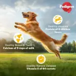 Pedigree Chicken and Vegetables Adult Dog Dry Food - Image 2