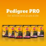 Pedigree PRO Expert Nutrition Active Adult (18 Months Onwards) Large Breed Dog Dry Food - Image 2