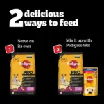 Pedigree PRO Expert Nutrition Lactating/Pregnant Mother & Puppy Starter (3 to 12 Weeks) Small Breed Dog Dry Food - Image 3