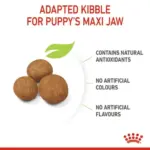 Royal Canin Maxi Puppy Dog Dry Food - Image 3