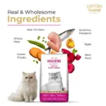 Signature Grain Zero Ocean Fish, Sardine and Mackerel Long Coat & Persian Adult Cat Dry Food - Image 3