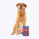 HUFT Yum Nums Blueberry with Real Chicken Soft & Chewy Sticks Dog Treats - Image 3