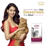 Signature Grain Zero Ocean Fish, Sardine and Mackerel Long Coat & Persian Adult Cat Dry Food - Image 2