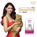 Signature Grain Zero Ocean Fish, Sardine and Mackerel Long Coat & Persian Adult Cat Dry Food - Image 2