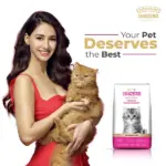 Signature Grain Zero Ocean Fish, Sardine and Mackerel Mother and Kitten Cat Dry Food - Image 2