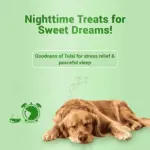 Natural Remedies Treat O'Clock Hemp with Chicken Meat Treats for Dogs - Image 2