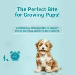 Natural Remedies Treat O'Clock Milk with Chicken Meat Treats for Dogs - Image 2