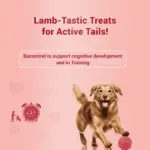 Natural Remedies Treat O'Clock Mutton Treats for Dogs - Image 2