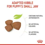 Royal Canin Mini Puppy Dog Dry Food - Image 3