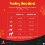 Purina SuperCoat Chicken Smartblend Adult Dog Dry Food (1+ Years) - Image 4