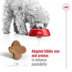 Royal Canin Mini Adult Dog Dry Food - Image 3