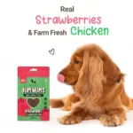 HUFT Yum Nums Soft and Chewy Strawberry with Real Chicken Grain Free Sticks Treats for Dogs - Image 3