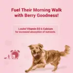 Natural Remedies Treat O'Clock Strawberry with Chicken Meat Treats for Dogs - Image 2