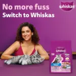 Whiskas Ocean Fish Kitten/Mother and Baby Cat Dry Food - Image 2