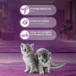 Whiskas Ocean Fish Kitten/Mother and Baby Cat Dry Food - Image 3